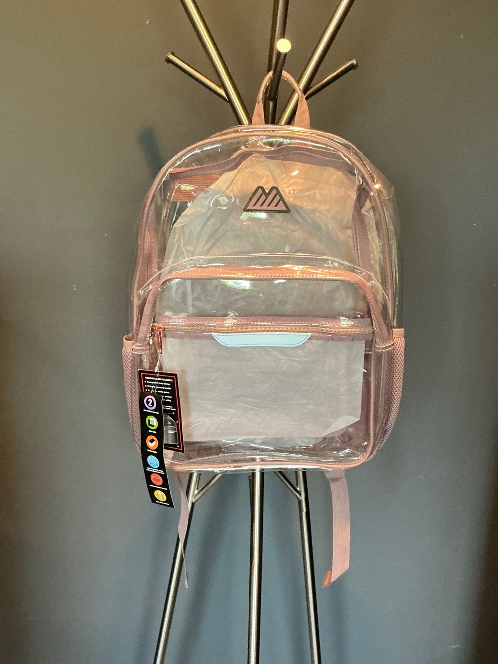 Clear Panel Pink Backpack